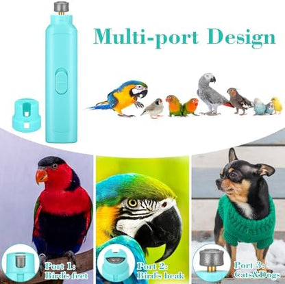 Lasnten parrot nail grinder showcasing the built-in LED light illuminating a pet claw