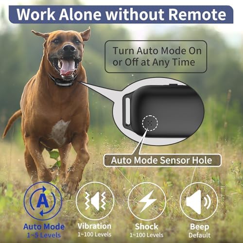 Premium USA imported pet training collar showing IPX7 waterproof components