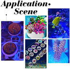 Twelve pieces of authentic CHGCRAFT ceramic tiles acting as a reef tank heat diffuser sheet