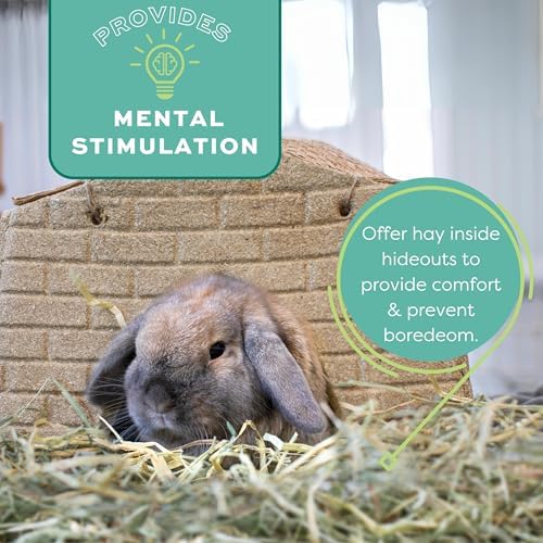 Oxbow animal health bulk hay bag highlighting dentist and veterinarian recommended seal for small herbivores.