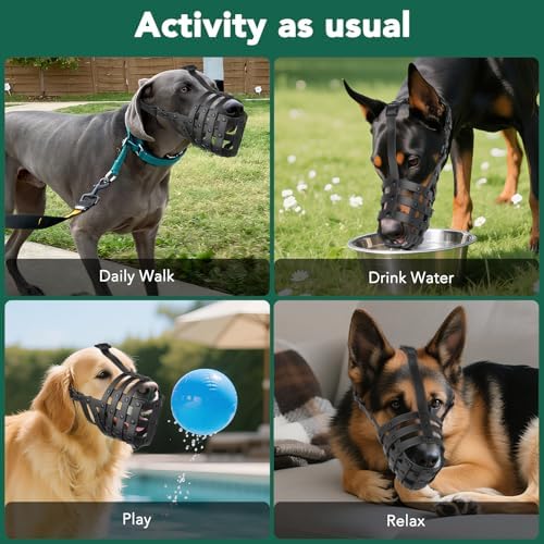 Product dimensions and fit guide for Mayerzon large dog muzzle