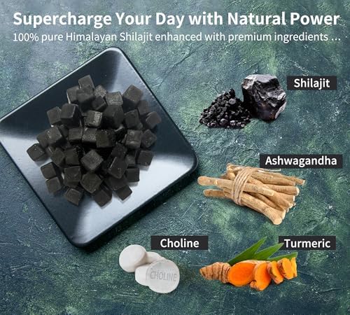 DLNIA sugar free shilajit gummies with KSM 66 ashwagandha for cellular energy support