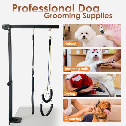 Detailed view of no-sit haunch restraints for dogs
