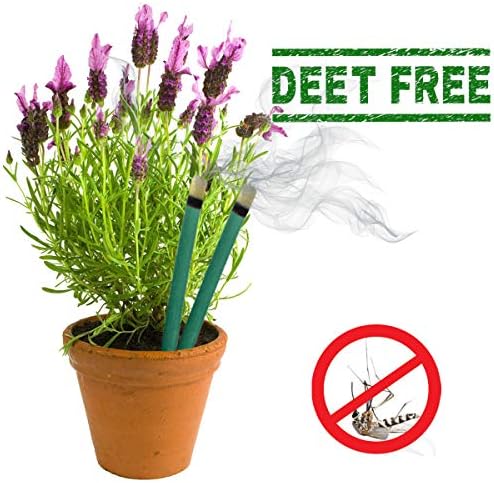 DEET free citronella infused outdoor pest control sticks placed in ground