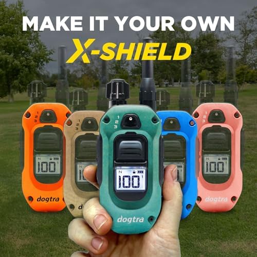 Dogtra 280X compact electronic dog training collar kit accessories
