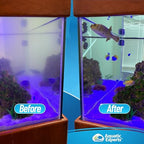 Aquatic Experts 200 micron filter sock rigid ring detail
