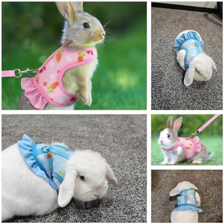 Cyhaen adjustable hook and loop fasteners on small pet mesh vest