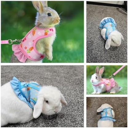 Cyhaen adjustable hook and loop fasteners on small pet mesh vest