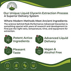 Supplement facts and 1 to 3 extraction ratio information on the kava tincture packaging