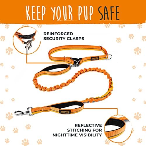 Reflective stitching detail on Mighty Paw dog leash
