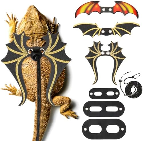Three sizes of reptile harnesses with dinosaur wings