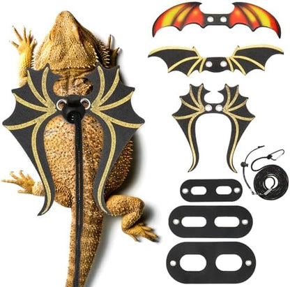 Three sizes of reptile harnesses with dinosaur wings