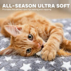 Mora Pets washable small breed pet mattress highlighting the premium plush cotton padding thickness.