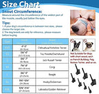Variety of LuckyPaw muzzle sizes from XXS to XXL