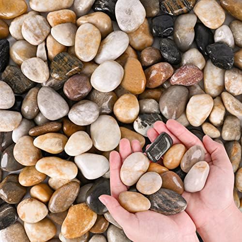 Close up of 1 inch to 1.5 inch polished natural pebbles