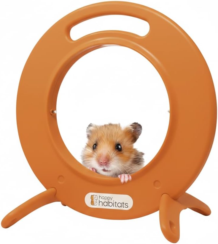 Roam Ring Accessory - Convert Your Hamster Ball into a Small Pet Carrier for Safe, Active Play - Small Animal Toys for Gerbils, Mice & More - Must-Have Pet Rat and Hamster Accessories - Image 1