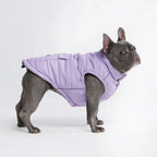 Spark Paws Dog Winter Jacket, Water-Resistant Coat, Warm Reflective Windproof Fleece-Interior, for Medium and Large Dogs - Olive - S - Image 14