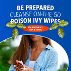 Individually wrapped fragrance free wipes for removing urushiol plant oils from skin