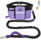 ETACCU heavy duty bungee dog leash extended view highlighting shock absorption