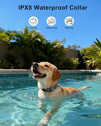 USB-C charging setup for dog training collar