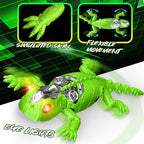 Remote control and Popplaying gecko toy set for kids
