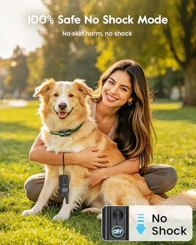 Slopehill e-collar worn by a medium sized dog