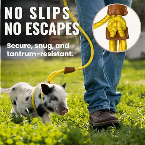 Adjustable nylon rope harness for potbelly pigs