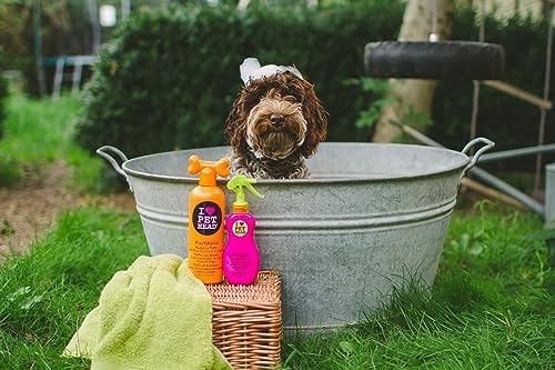 Dog coat conditioning spray bottle next to fresh strawberries