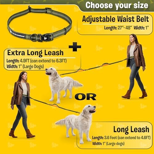 Pet Dreamland hands free leash adjustable waist belt detail