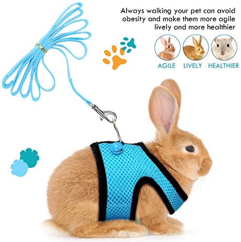 Satinior small animal walking vest in blue and black color
