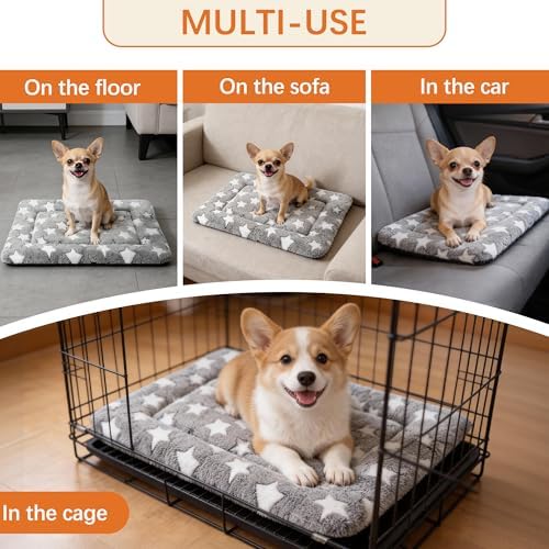 Fogkiss portable dog travel mat rolled up for car transit use