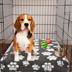 Balapet premium gray pet bed cover packaging view illustrating the dimensions of forty by thirty by four inches.