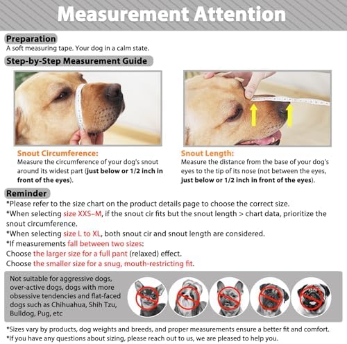Mayerzon muzzle with matching dog collar set