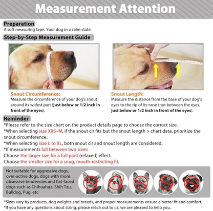 Mayerzon muzzle with matching dog collar set
