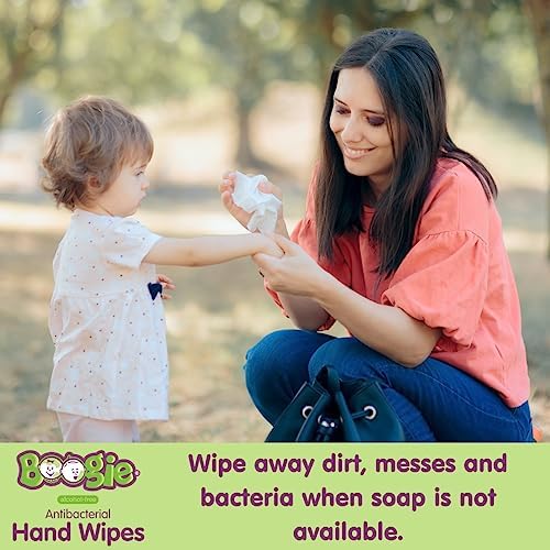 Antibacterial Hand Wipes by Boogie, Alcohol Free, Hypoallergenic and Moisturizing Aloe, Hand Wipes for Kids and Adults, 6 Packs of 20 (120 total wipes) - Image 2