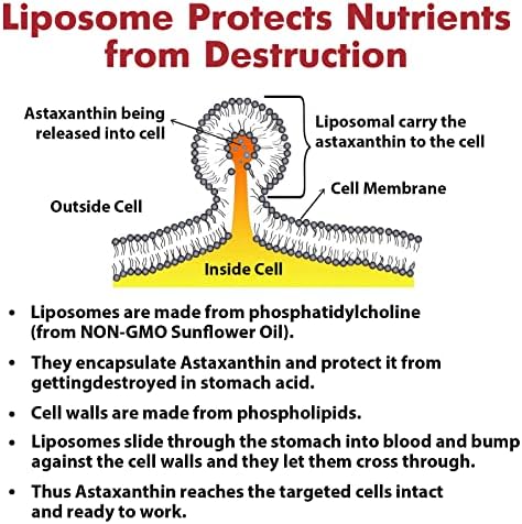 Osasuna Liposomal Astaxanthin ingredient highlights