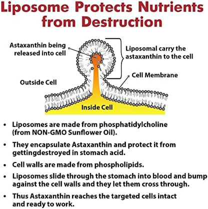 Osasuna anti aging antioxidant bottle highlighting non GMO and gluten free certifications