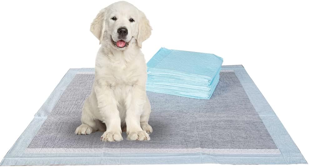 BV Puppy Pads Leak-Proof 100 Count 22"x 22" - Absorbent Pee Pads for Dogs with 6-Layer Design, Rapid Dry Sheet & Built-in Attractant - Dog Pad with Odor Control, Perfect for Puppies & Senior Dogs - Image 11