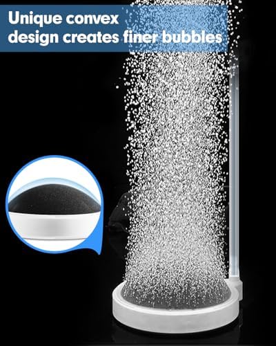 BLOTFISH 3.2 inch fish tank aerator displaying the unique convex base design for even bubble output.