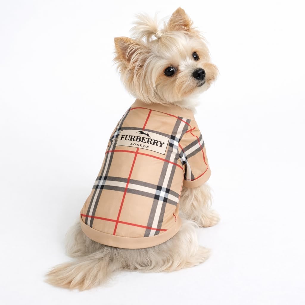 Small dog wearing beige plaid luxury pet tee
