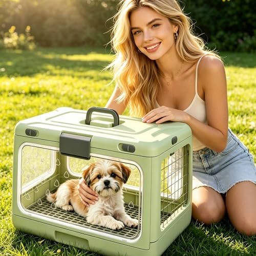 Dog Trust clear top pet kennel interior view with urine pad mesh grid