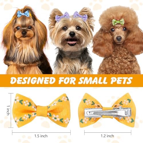 Small dog wearing decorative ribbon grooming bow