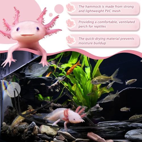 Niuohoy premium amphibian and gecko climbing net accessory for terrariums