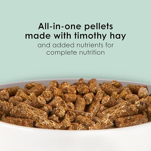 Close up view of Timothy hay pelleted guinea pig food texture
