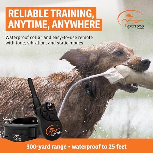 SportDOG YardTrainer 300 remote showing button interface