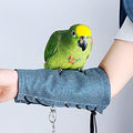 Ismarten parrot anti-scratch arm protector blue front view protective pet apparel
