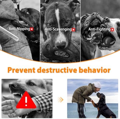 Mayerzon basket muzzle secured on Rottweiler