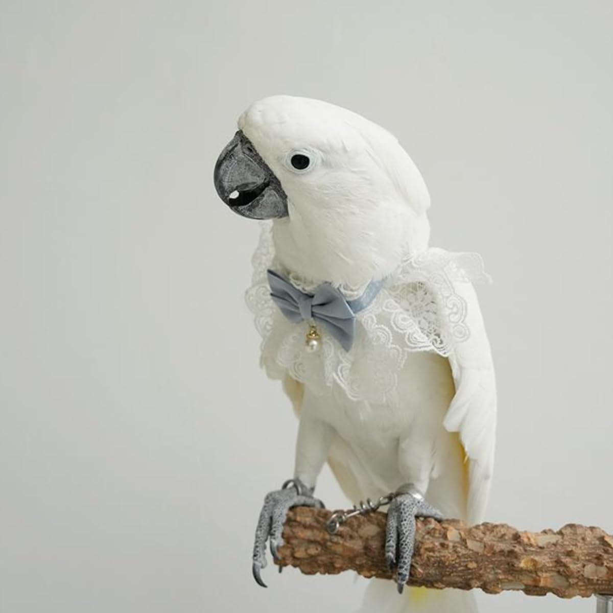 Premium bird tie costume collar highlighting ultra thin non irritating material