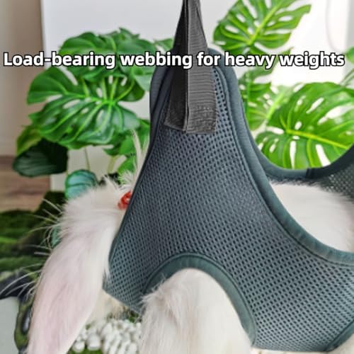 Red Copfeu rabbit harness for home claw care and ear cleaning sessions