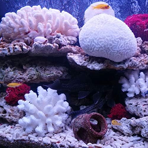 Close up texture detail of Besimple white polyresin coral